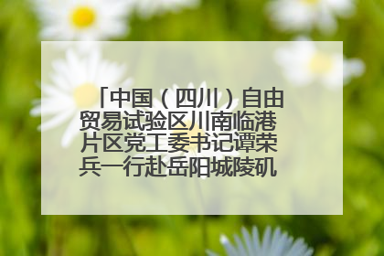 中国（四川）自由贸易试验区川南临港片区党工委书记谭荣兵一行赴岳阳城陵矶综保区考察