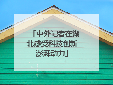中外记者在湖北感受科技创新澎湃动力