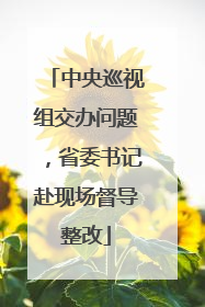 中央巡视组交办问题，省委书记赴现场督导整改