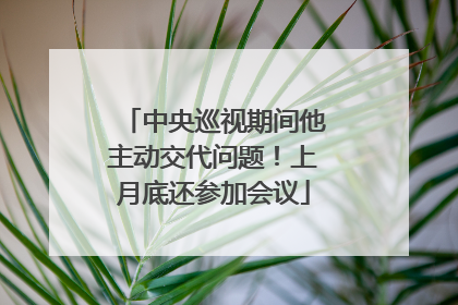 中央巡视期间他主动交代问题！上月底还参加会议