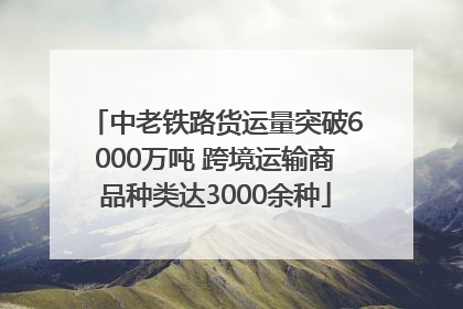 中老铁路货运量突破6000万吨 跨境运输商品种类达3000余种