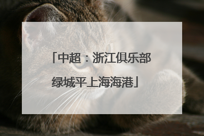 中超：浙江俱乐部绿城平上海海港