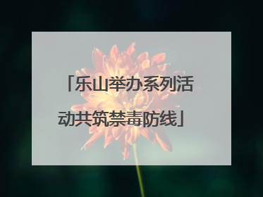 乐山举办系列活动共筑禁毒防线