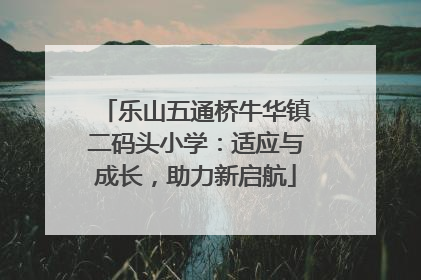 乐山五通桥牛华镇二码头小学：适应与成长，助力新启航