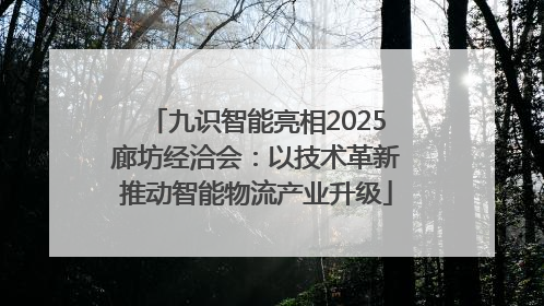九识智能亮相2025廊坊经洽会：以技术革新推动智能物流产业升级