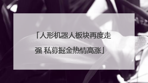 人形机器人板块再度走强 私募掘金热情高涨