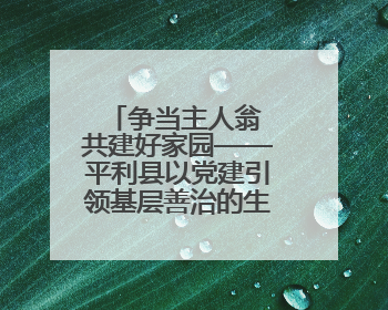 争当主人翁 共建好家园——平利县以党建引领基层善治的生动实践