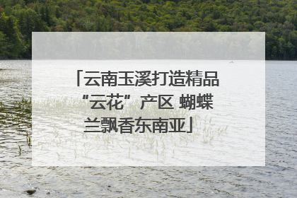 云南玉溪打造精品“云花”产区 蝴蝶兰飘香东南亚