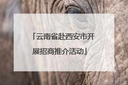 云南省赴西安市开展招商推介活动