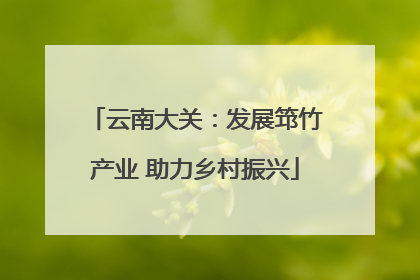云南大关：发展筇竹产业 助力乡村振兴