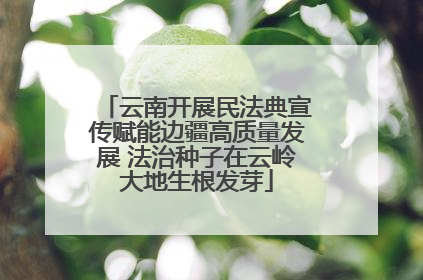 云南开展民法典宣传赋能边疆高质量发展 法治种子在云岭大地生根发芽