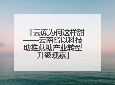 云蔗为何这样甜——云南省以科技助推蔗糖产业转型升级观察