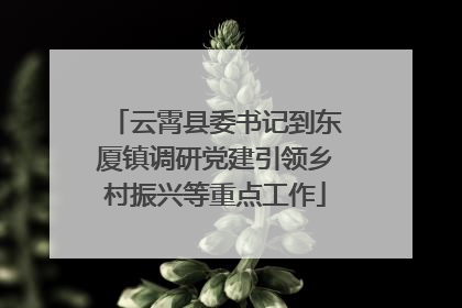 云霄县委书记到东厦镇调研党建引领乡村振兴等重点工作