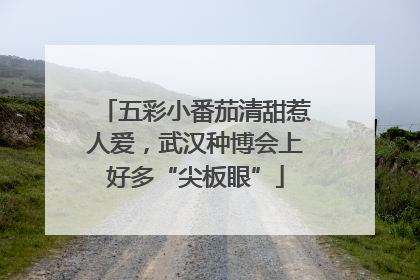 五彩小番茄清甜惹人爱，武汉种博会上好多“尖板眼”