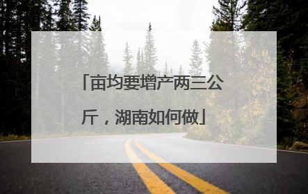 亩均要增产两三公斤，湖南如何做