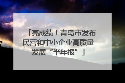亮成绩！青岛市发布民营和中小企业高质量发展“半年报”