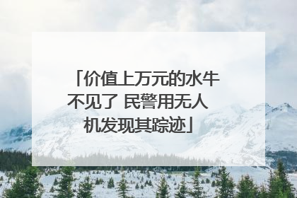 价值上万元的水牛不见了 民警用无人机发现其踪迹