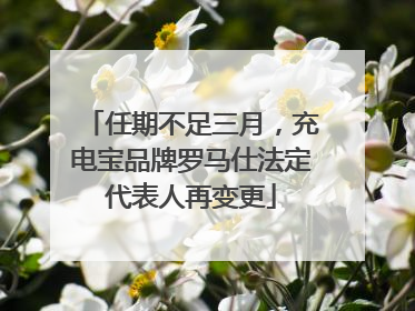 任期不足三月，充电宝品牌罗马仕法定代表人再变更