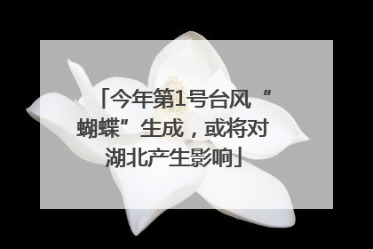 今年第1号台风“蝴蝶”生成，或将对湖北产生影响