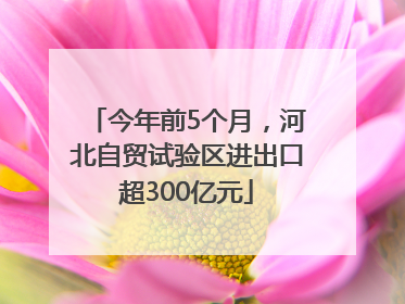 今年前5个月，河北自贸试验区进出口超300亿元