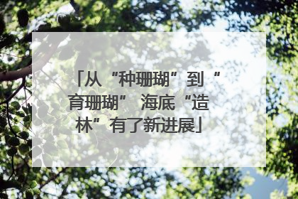 从“种珊瑚”到“育珊瑚” 海底“造林”有了新进展