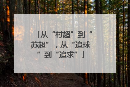 从“村超”到“苏超”，从“追球”到“追求”