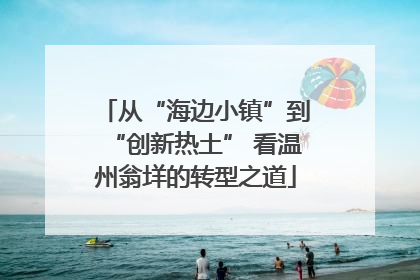 从“海边小镇”到“创新热土” 看温州翁垟的转型之道