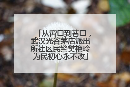 从窗口到巷口，武汉光谷茅店派出所社区民警樊艳玲为民初心永不改