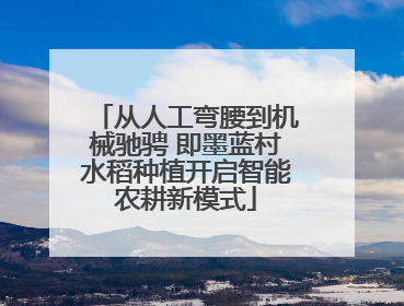 从人工弯腰到机械驰骋 即墨蓝村水稻种植开启智能农耕新模式