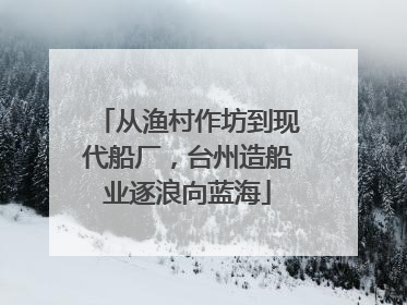 从渔村作坊到现代船厂，台州造船业逐浪向蓝海