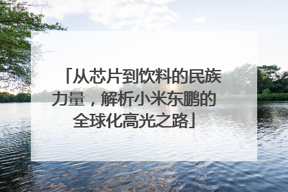 从芯片到饮料的民族力量，解析小米东鹏的全球化高光之路