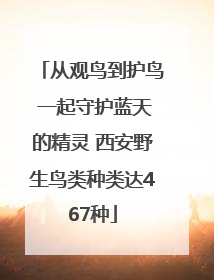 从观鸟到护鸟 一起守护蓝天的精灵 西安野生鸟类种类达467种