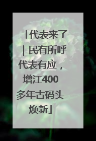 代表来了｜民有所呼代表有应，增江400多年古码头焕新