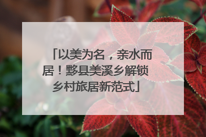 以美为名，亲水而居！黟县美溪乡解锁乡村旅居新范式