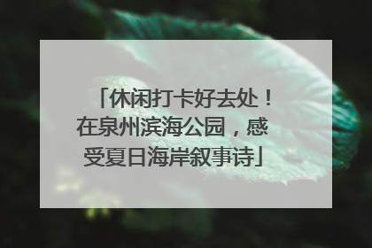休闲打卡好去处！在泉州滨海公园，感受夏日海岸叙事诗
