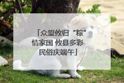 众望攸归“粽”情家国 攸县多彩民俗庆端午
