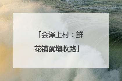 会泽上村：鲜花铺就增收路