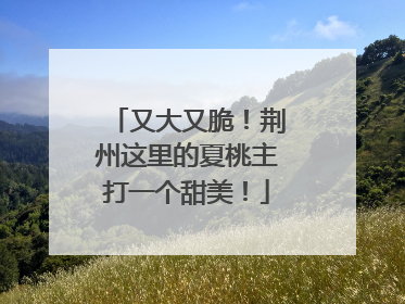 又大又脆！荆州这里的夏桃主打一个甜美！
