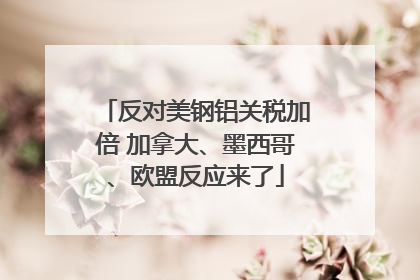反对美钢铝关税加倍 加拿大、墨西哥、欧盟反应来了