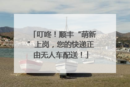叮咚！顺丰“萌新”上岗，您的快递正由无人车配送！