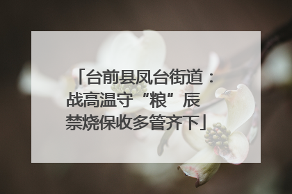 台前县凤台街道：战高温守“粮”辰 禁烧保收多管齐下