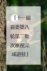十一届省委第八轮第二批次巡视完成进驻