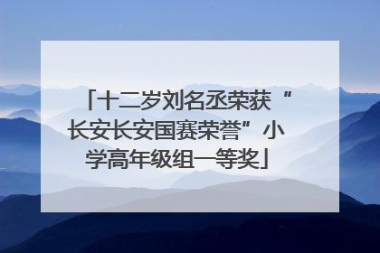 十二岁刘名丞荣获“长安长安国赛荣誉”小学高年级组一等奖