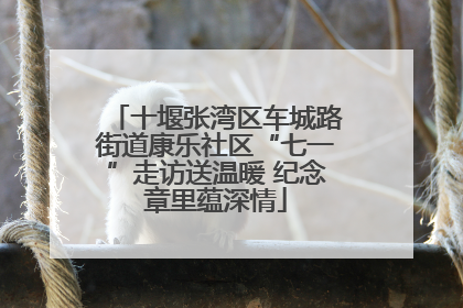 十堰张湾区车城路街道康乐社区“七一”走访送温暖 纪念章里蕴深情