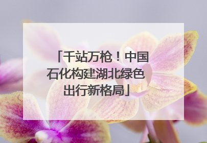 千站万枪！中国石化构建湖北绿色出行新格局