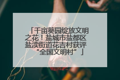 千亩葵园绽放文明之花！盐城市盐都区盐渎街道花吉村获评“全国文明村”