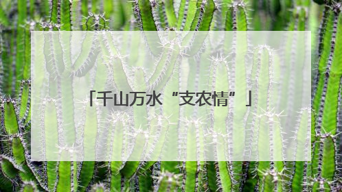 千山万水“支农情”