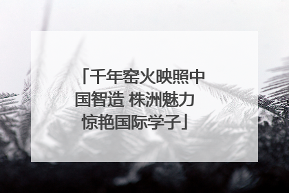 千年窑火映照中国智造 株洲魅力惊艳国际学子