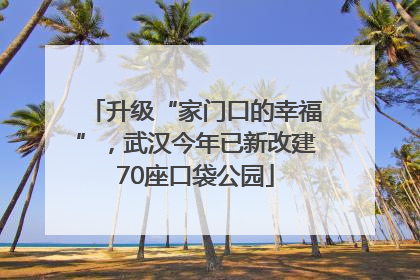 升级“家门口的幸福”，武汉今年已新改建70座口袋公园