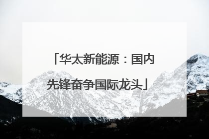 华太新能源：国内先锋奋争国际龙头
